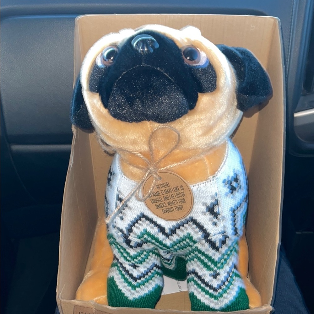 LITTLE TOASTIES New Zealand Pug Dog Heat And Hug Microwaveable Plush Secure Toy.